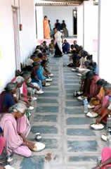 Old Orphan Feeding