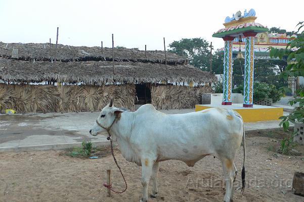 P1050967.JPG - Yagashala in the background