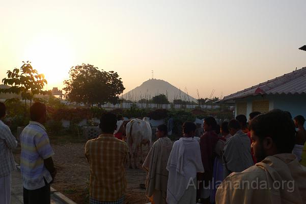 P1050983.JPG - 'Go Puja' at day break