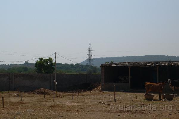 P1060006.JPG - Goshala or cow shed