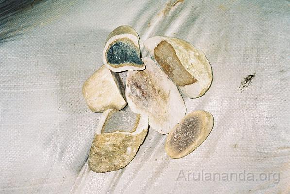 CNV00008.JPG - Siddha medicine ingredients