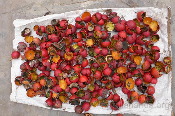 P1030133.JPG - Raw material for siddha medicines