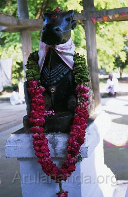 00840002.jpg - Nandi facing the Shiva Lingam on Lalitananda Swami's Samadhi in Pasumalai - Nov 2002