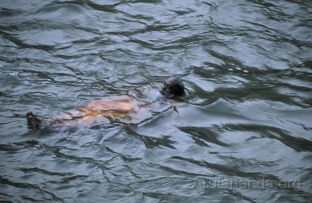 00840018.jpg - Swamiji in Kalyana Teertham waterfalls near Papanasam - Nov 2002