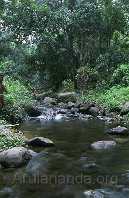 00840033.jpg - Fresh water stream near Lada Maharishi's abode - Nov 2002